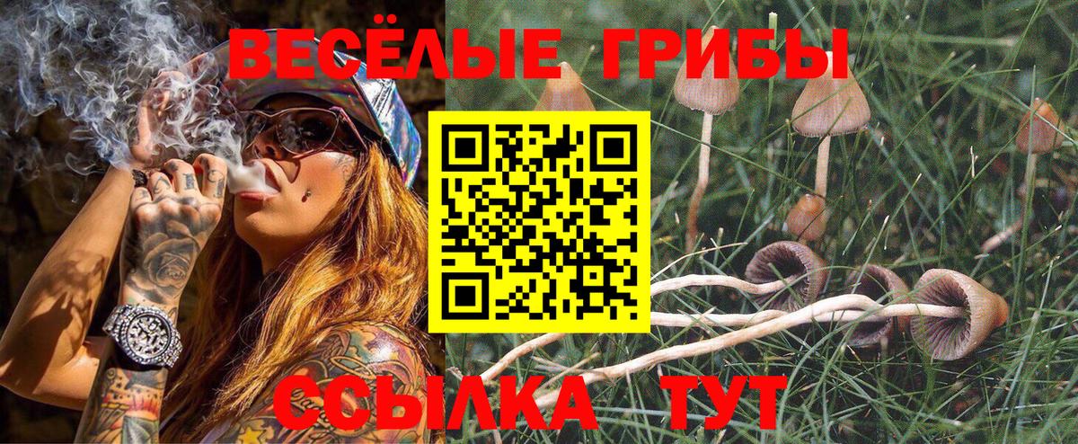 как найти закладки  Псилоцибиновые грибы прущие грибы  Вход с VPN  Лосино-Петровский  Галлюциногенные грибы GOLDEN TEACHER 